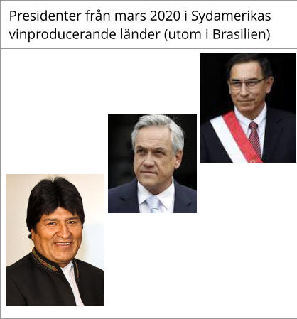 Presidenter från mars 2020 i Sydamerikas    vinproducerande länder (utom i Brasilien)