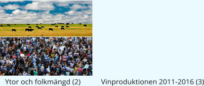 Ytor och folkmängd (2)           Vinproduktionen 2011-2016 (3)
