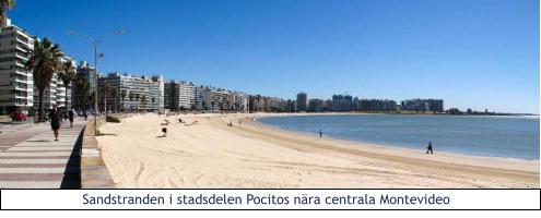 Sandstranden i stadsdelen Pocitos nra centrala Montevideo